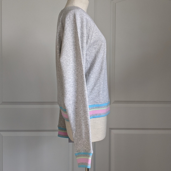 Champion Sweatshirt Rainbow Logo French Terry Crew Raglan Sleeves Grey L NWT - Picture 12 of 15